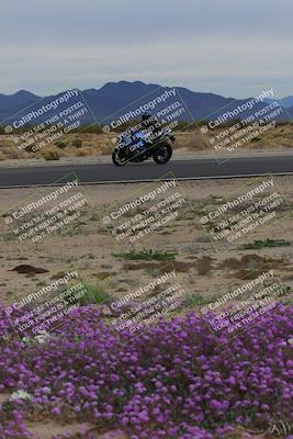 media/Jan-14-2023-SoCal Trackdays (Sat) [[497694156f]]/Turn 14 Exit Bloomig (145pm)/